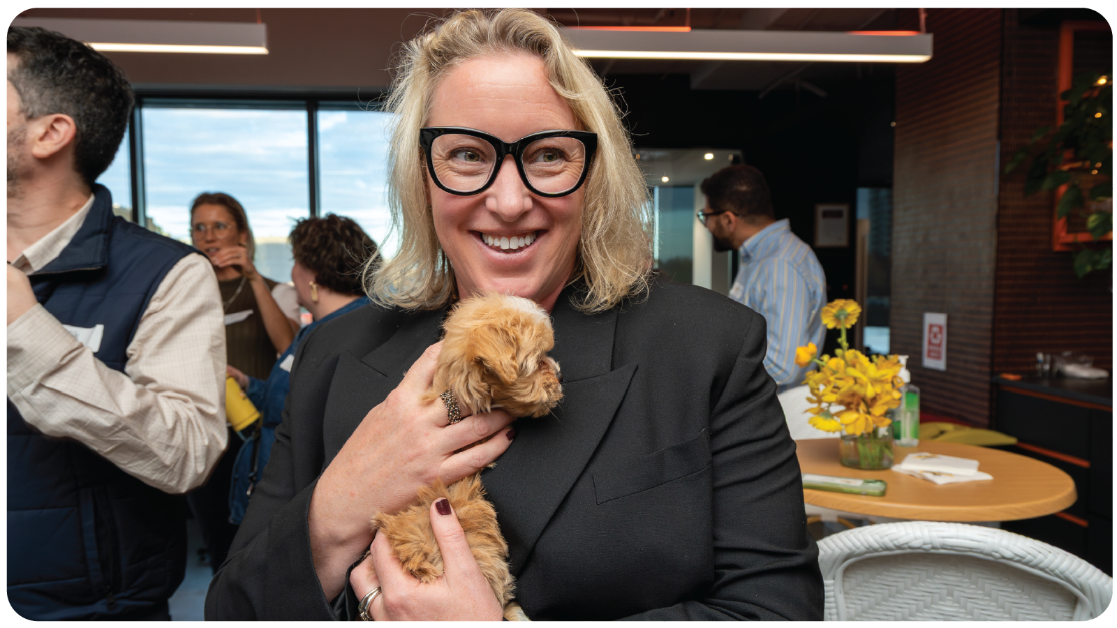 PetAds Unleashed: Melbourne Brings the Energy